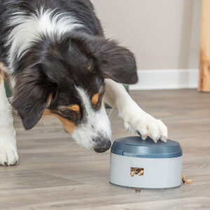 Trixie Dog Activity Buzzer
