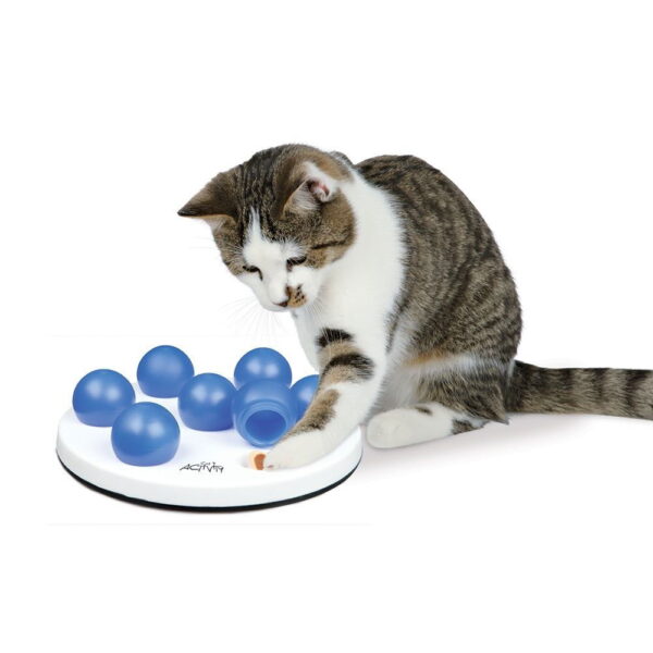 Aktivointilelu Trixie Cat Solitaire