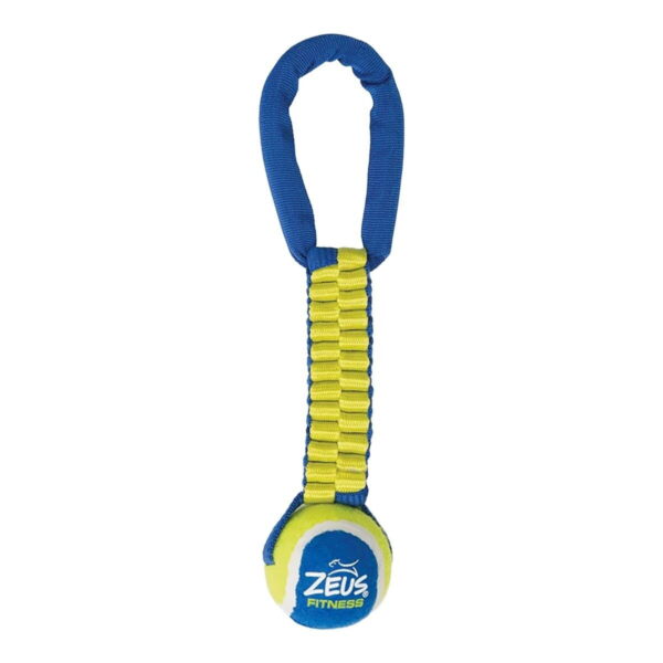 Zeus Fitness vetolelu tennispallolla