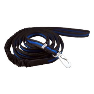 Baggen Expander leash blue